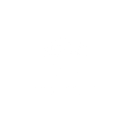 Lifeminded Living